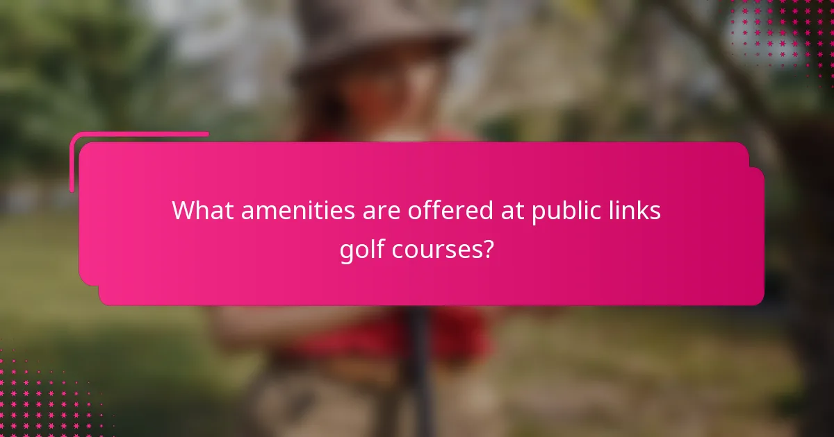 What amenities are offered at public links golf courses?